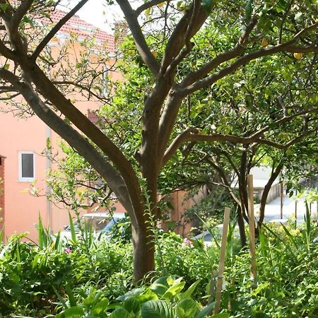 Apartment Podgora 518B Luaran gambar